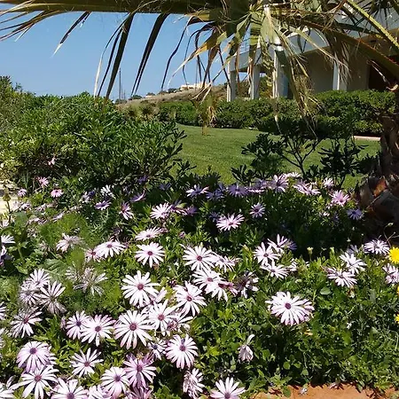Apartment Tholos Bay *